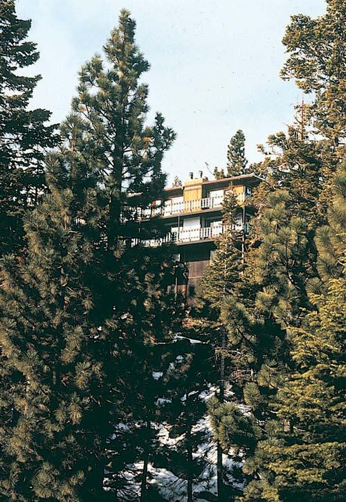 Resort Img